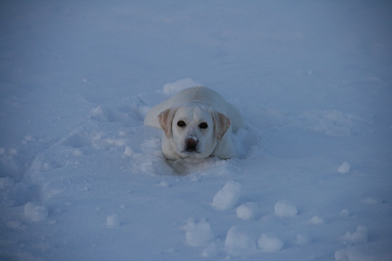 ファイル 26-2.jpg