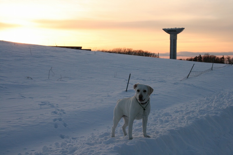 ファイル 26-3.jpg