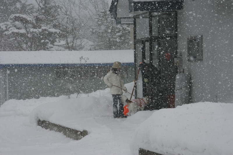 ファイル 3-3.jpg