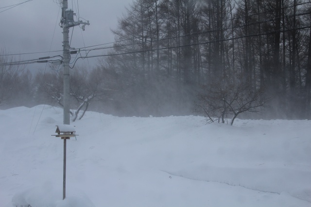 ファイル 31-2.jpg