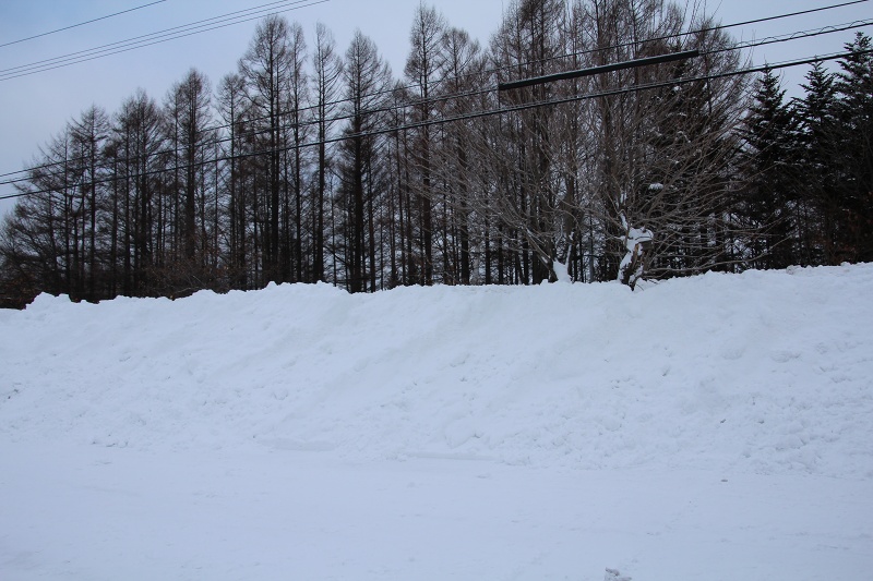 ファイル 32-1.jpg