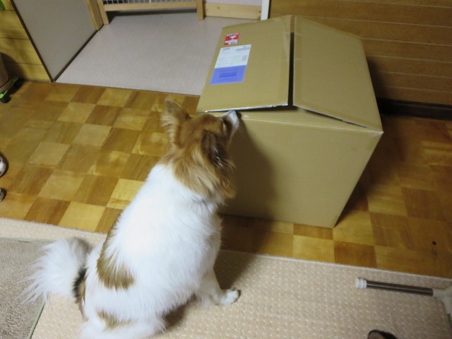 ファイル 35-1.jpg