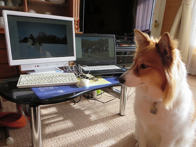 ファイル 35-4.jpg