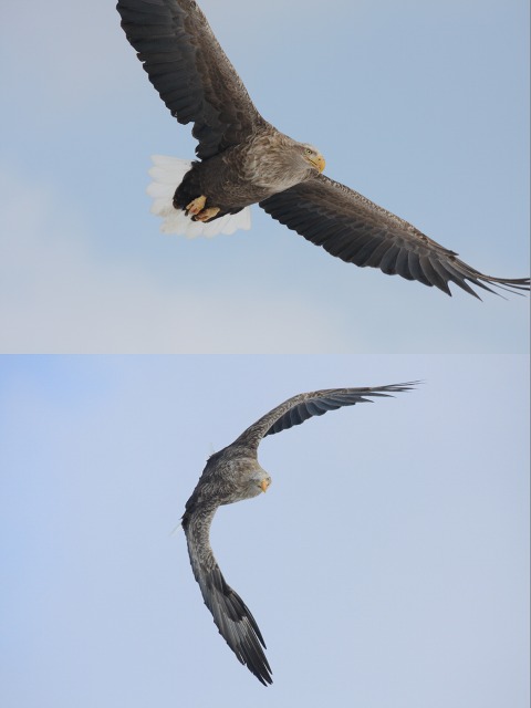 ファイル 39-3.jpg