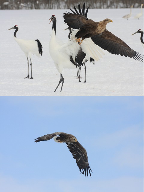 ファイル 39-5.jpg