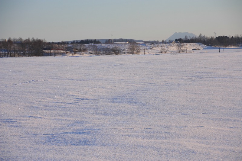 ファイル 4-5.jpg