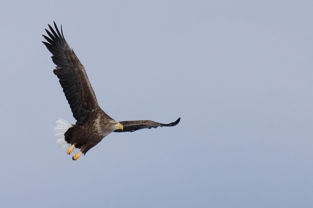 ファイル 41-2.jpg