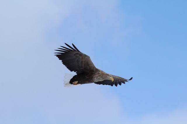 ファイル 41-4.jpg