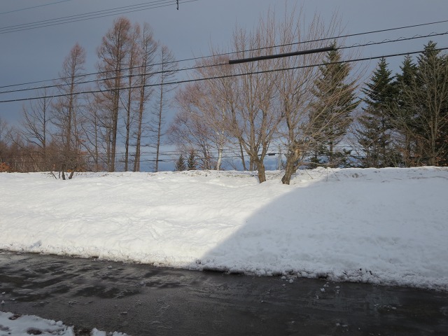 ファイル 42-2.jpg