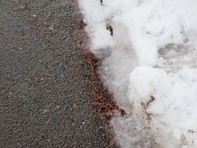 ファイル 42-4.jpg