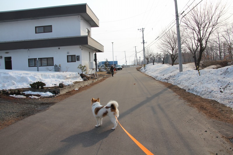 ファイル 48-1.jpg