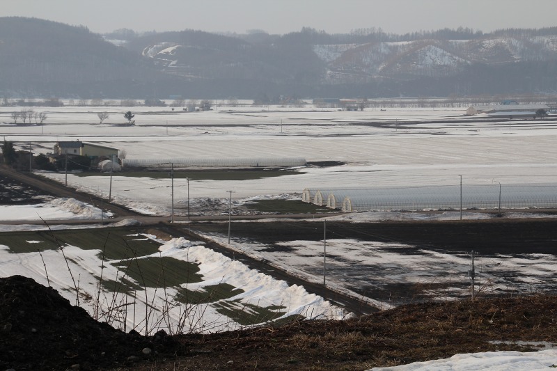 ファイル 48-2.jpg