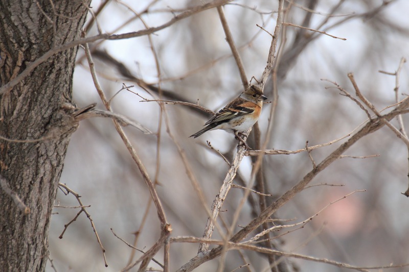 ファイル 50-5.jpg