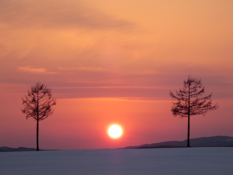 ファイル 51-1.jpg