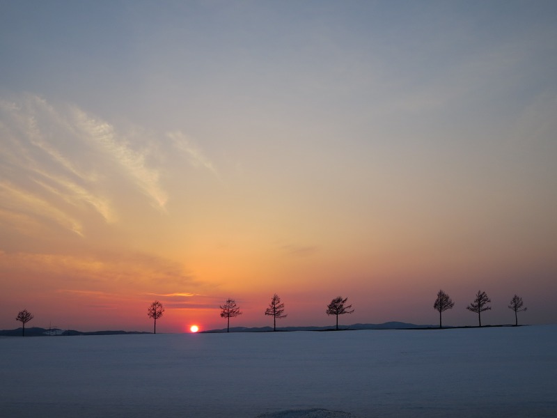 ファイル 51-5.jpg