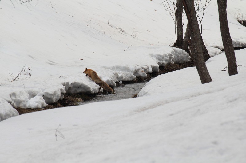 ファイル 52-4.jpg