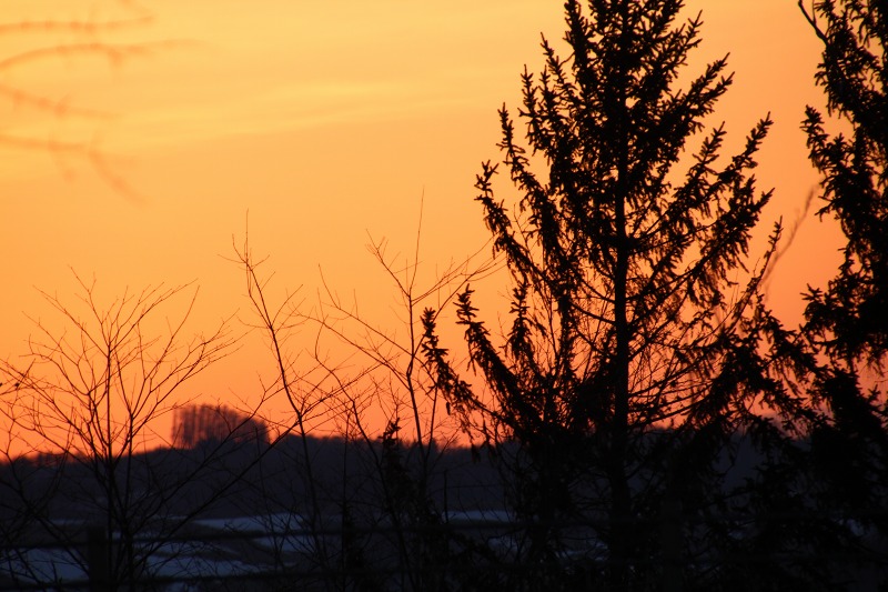 ファイル 55-4.jpg