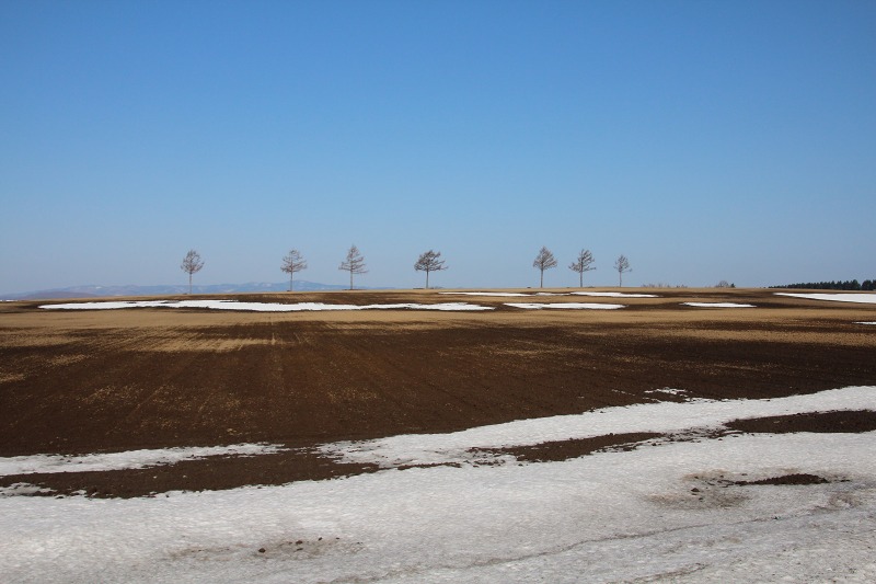 ファイル 56-1.jpg