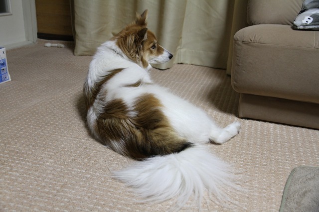 ファイル 57-1.jpg