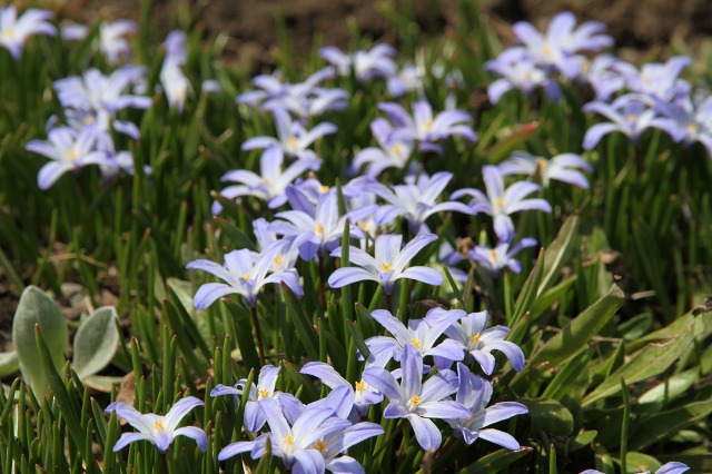 ファイル 58-3.jpg