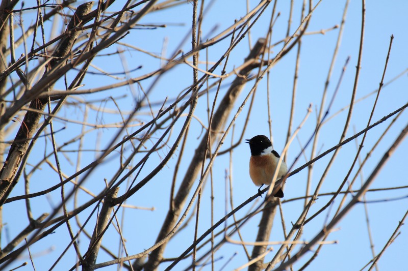 ファイル 59-3.jpg