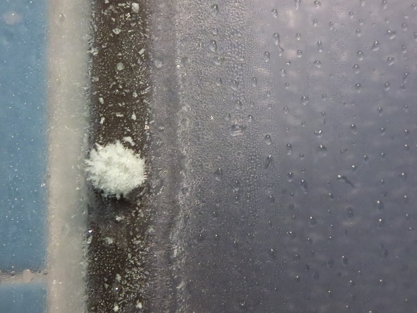 ファイル 6-4.jpg