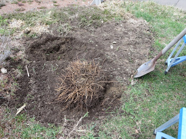 ファイル 62-5.jpg