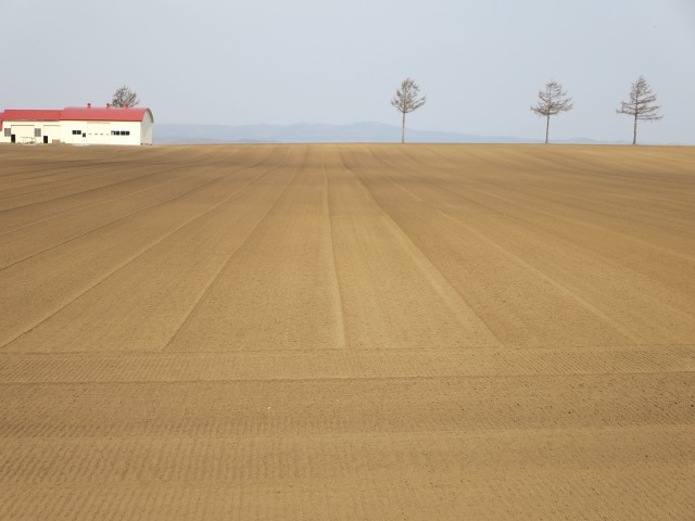 ファイル 64-1.jpg