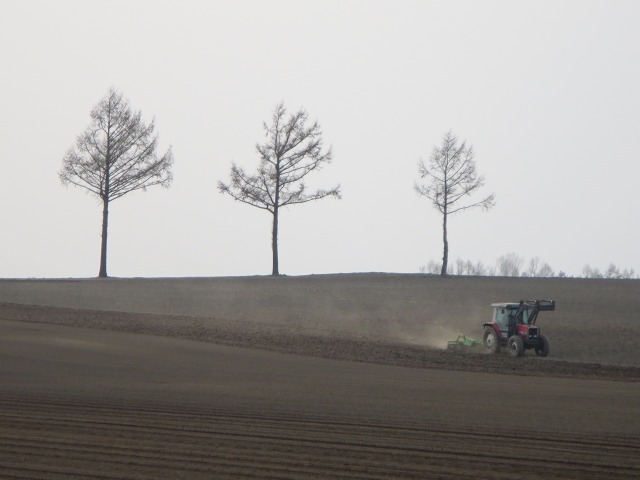 ファイル 64-3.jpg