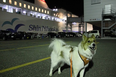 ファイル 67-1.jpg