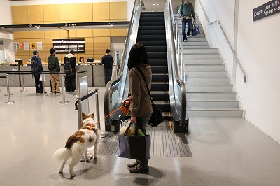 ファイル 68-3.jpg