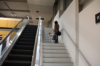 ファイル 68-4.jpg