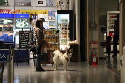 ファイル 68-5.jpg