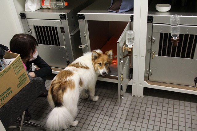 ファイル 69-3.jpg