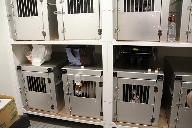 ファイル 69-5.jpg