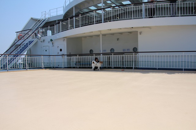 ファイル 71-3.jpg