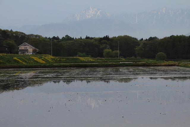 ファイル 72-1.jpg