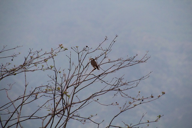 ファイル 72-2.jpg