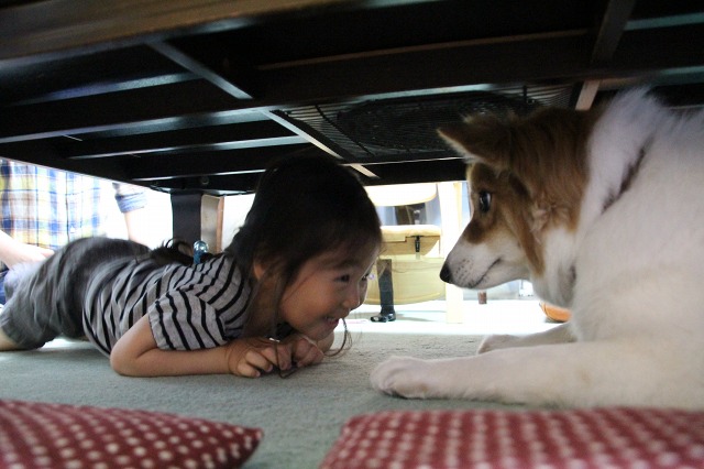 ファイル 75-3.jpg