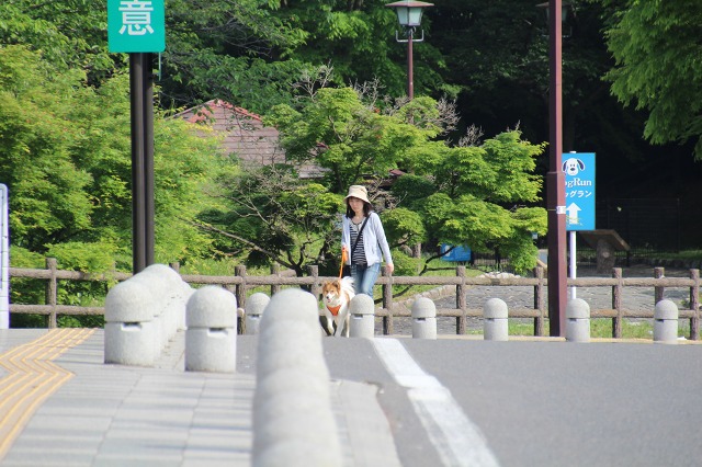 ファイル 77-2.jpg