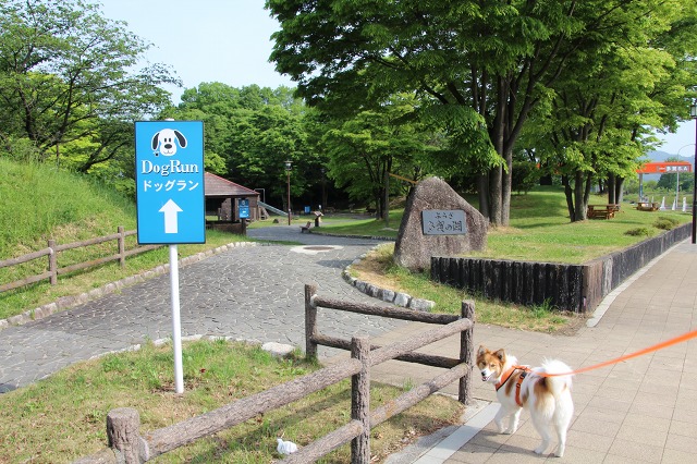 ファイル 77-4.jpg