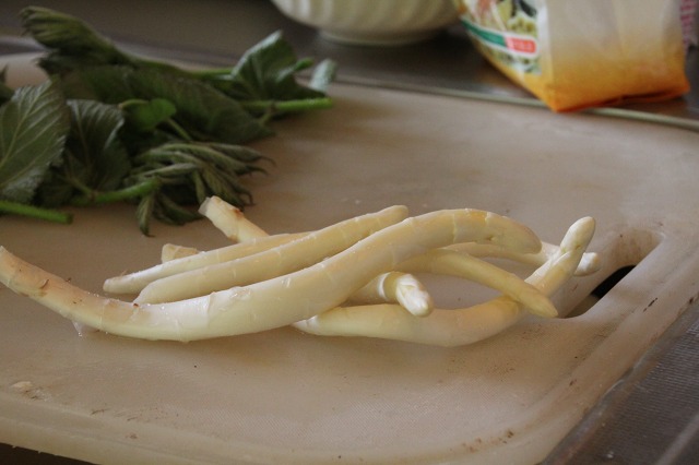 ファイル 78-1.jpg