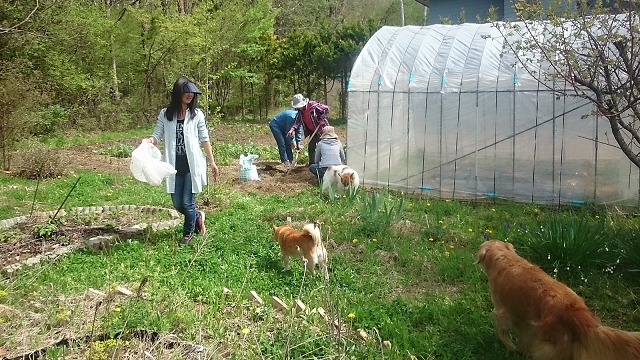 ファイル 78-2.jpg