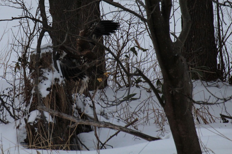 ファイル 8-2.jpg