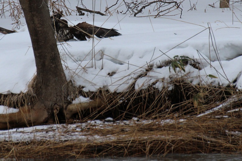 ファイル 8-3.jpg