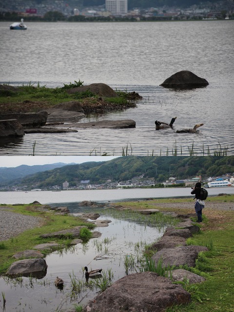 ファイル 80-4.jpg