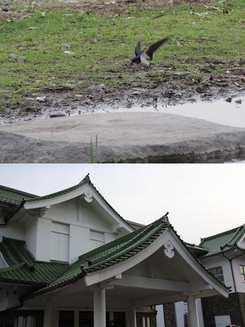 ファイル 80-5.jpg