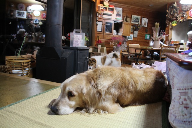 ファイル 81-4.jpg