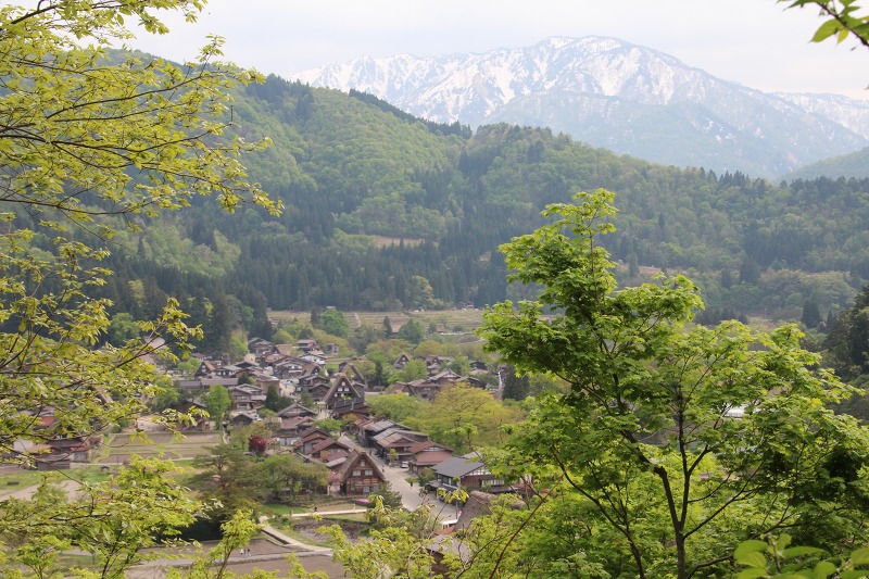 ファイル 83-5.jpg