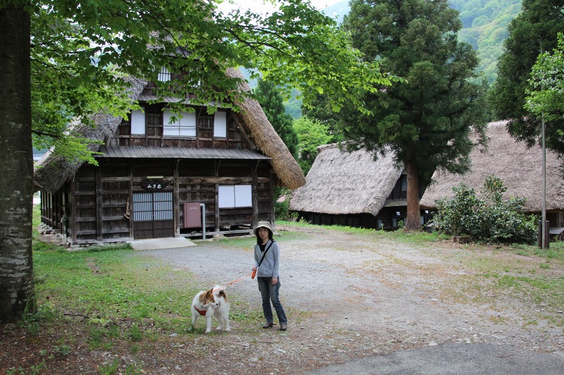 ファイル 85-3.jpg